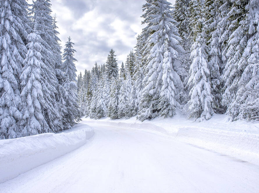 Image of a Snow Covered Road with Trees surrounding