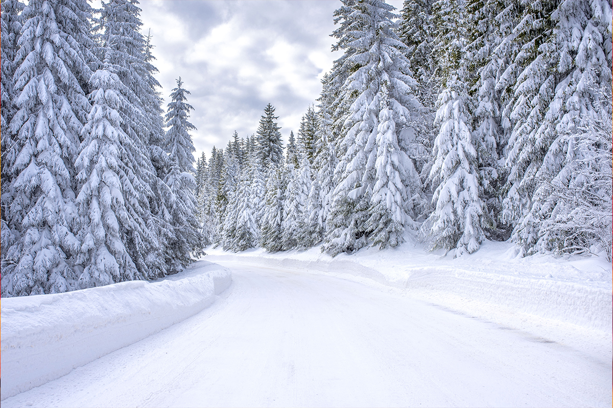 Image of a Snow Covered Road with Trees surrounding